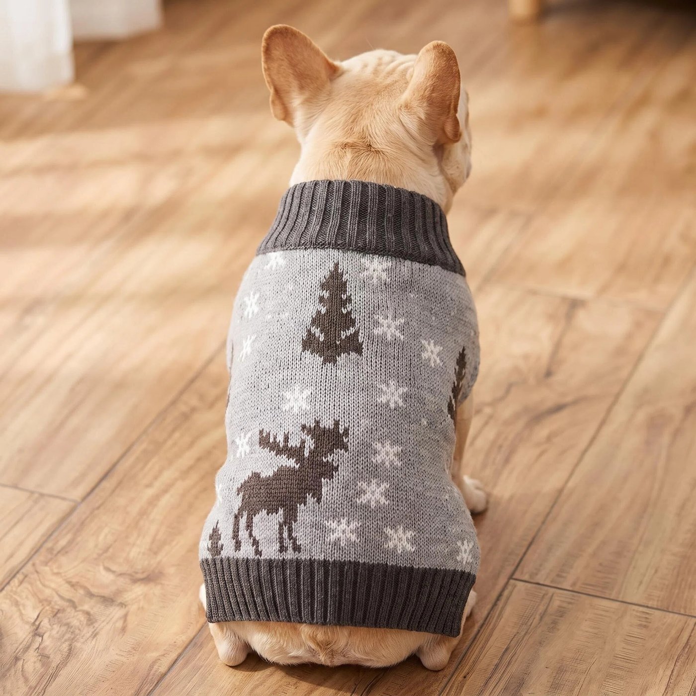 JIANCHI cw26035 knitwear 2