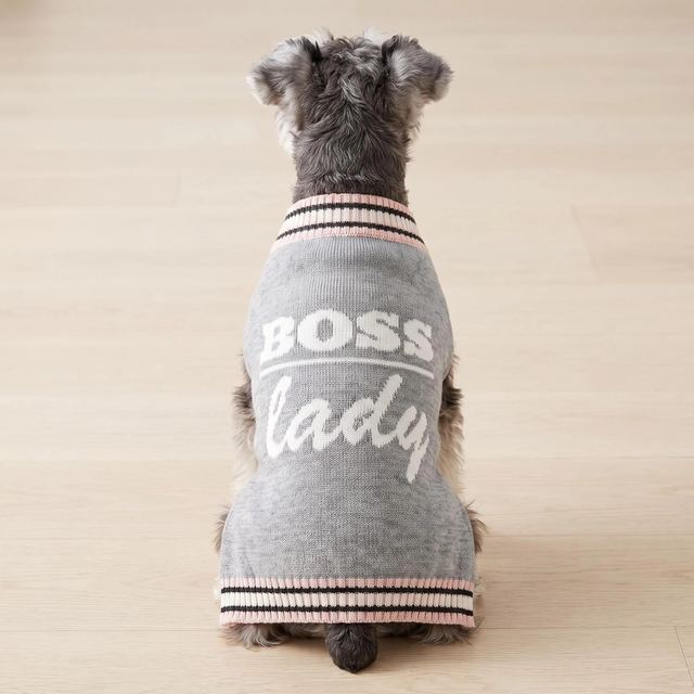 JIANCHI Grey Boss Lady Varsity Dog Sweater Cozy Pet Apparel Custom Size Color Small MOQ Knitwear Direct Factory CW26061