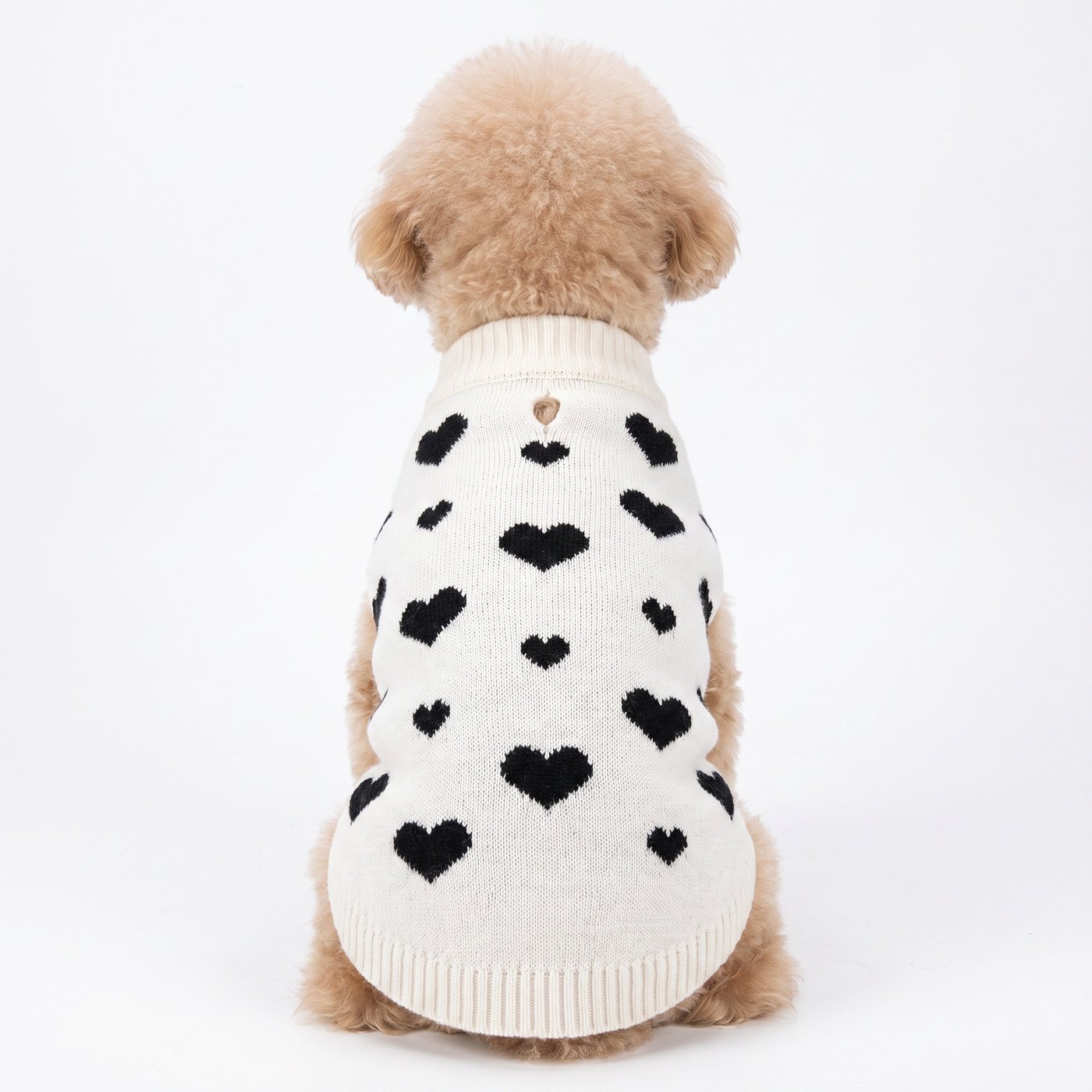 JIANCHI cw26067 knitwear 2